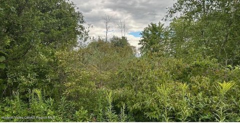 40 Acres Wooded Land