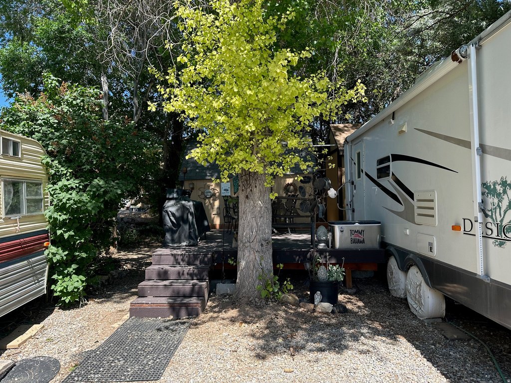 Picture 9