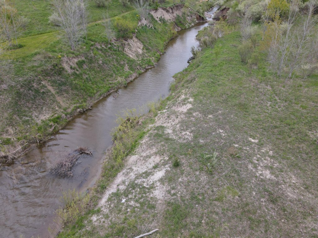 Picture 41
