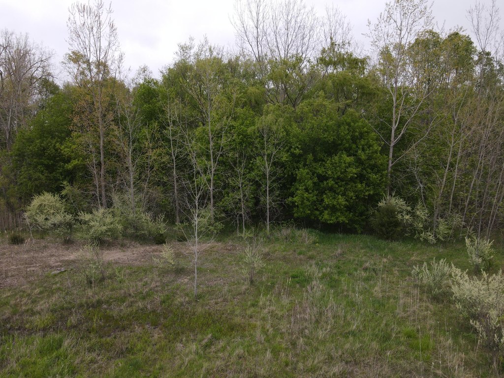 Picture 54