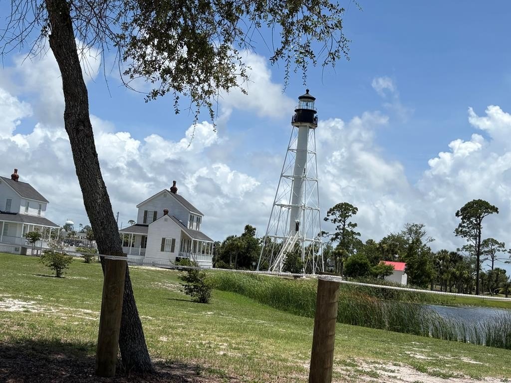 Picture 12