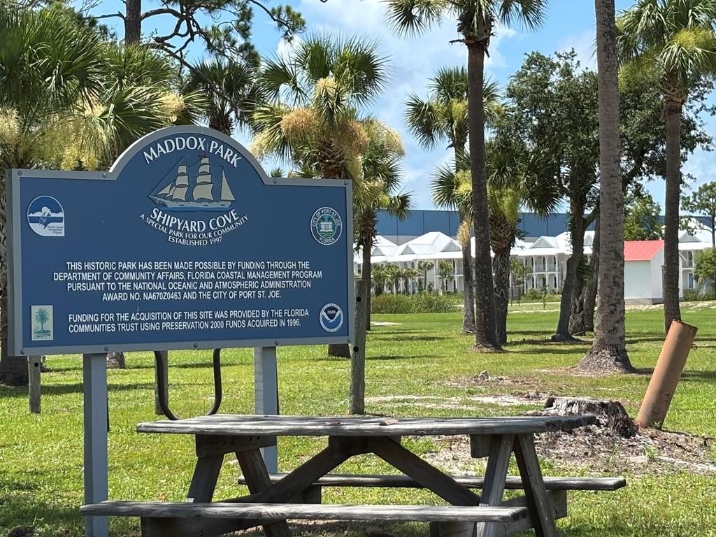 Picture 16