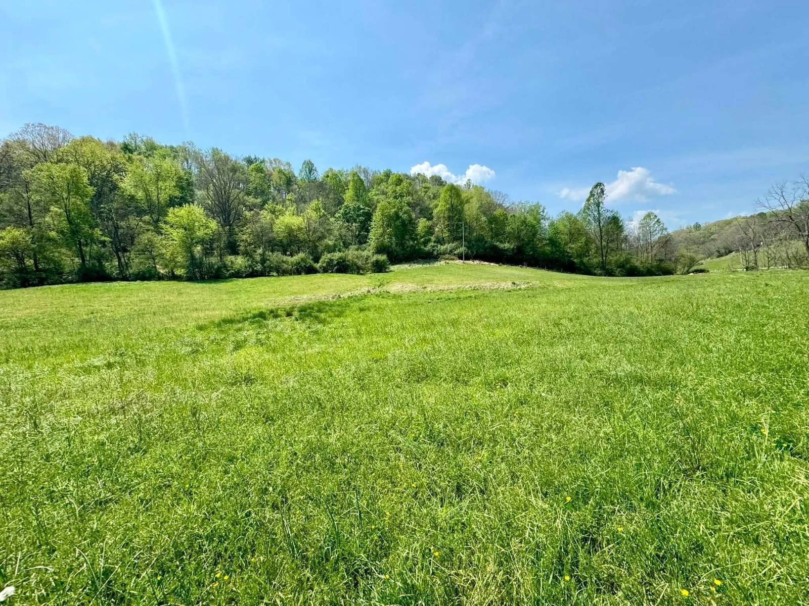 Land with Mineral Rights