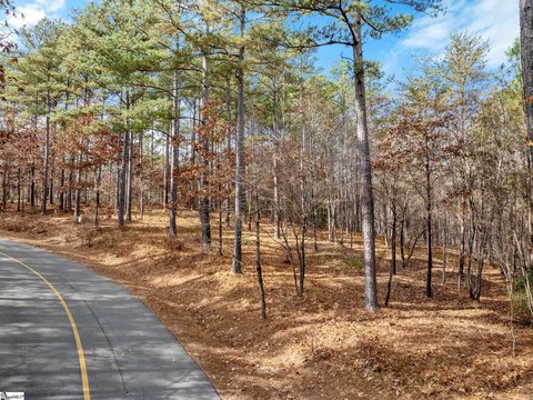 Gated Lake Community Homesite