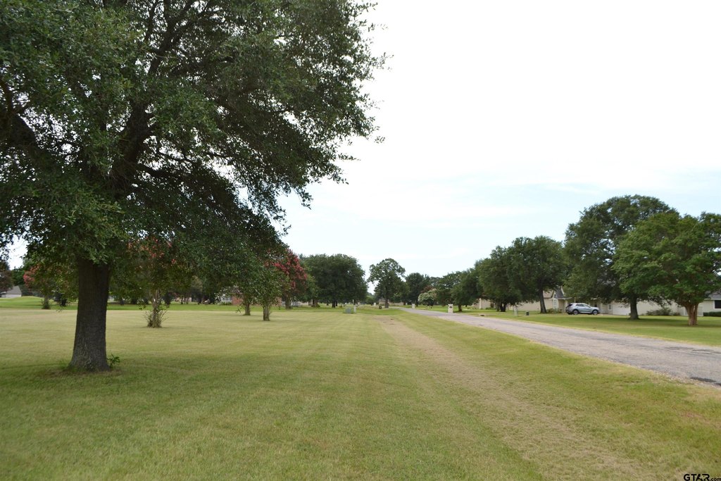 Picture 20