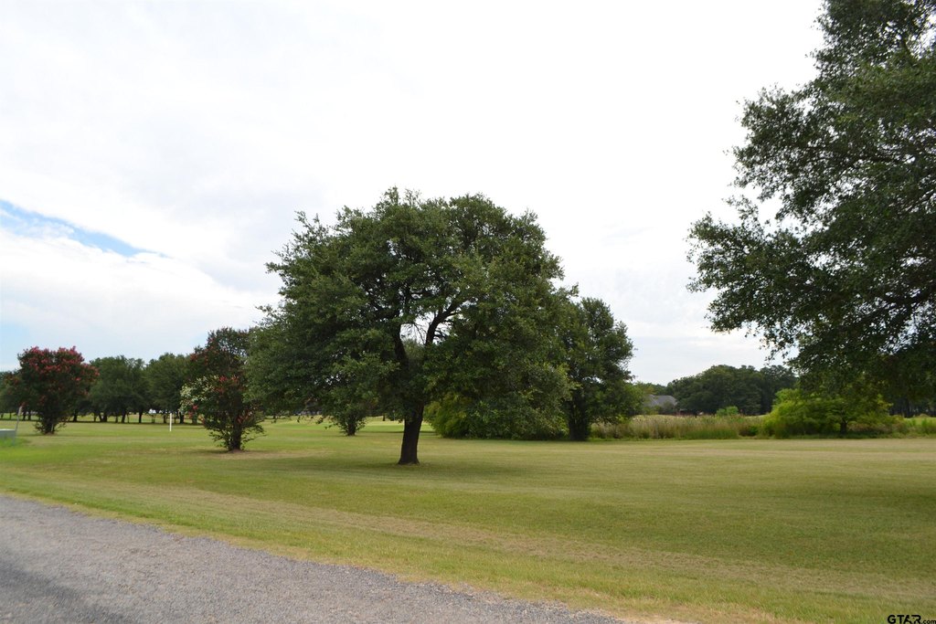 Picture 16