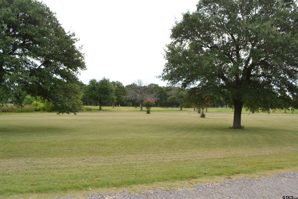 Picture 13