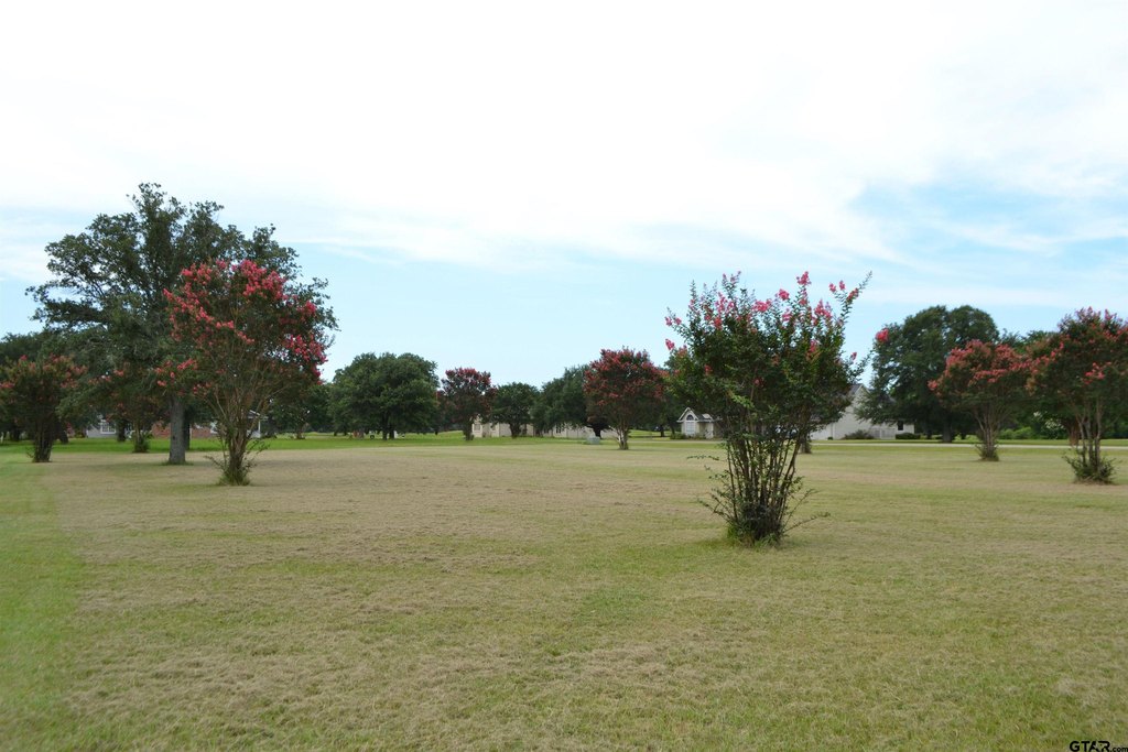Picture 18