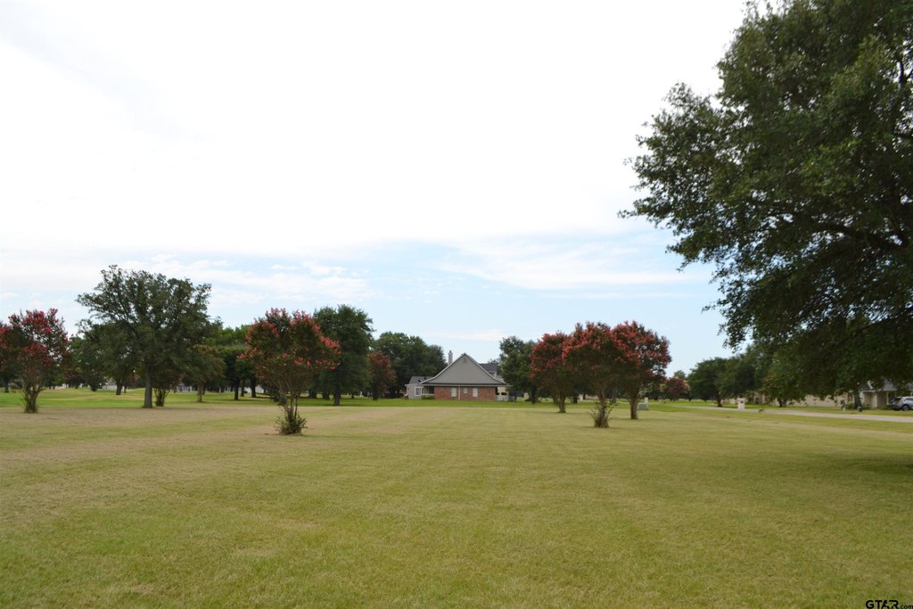 Picture 17