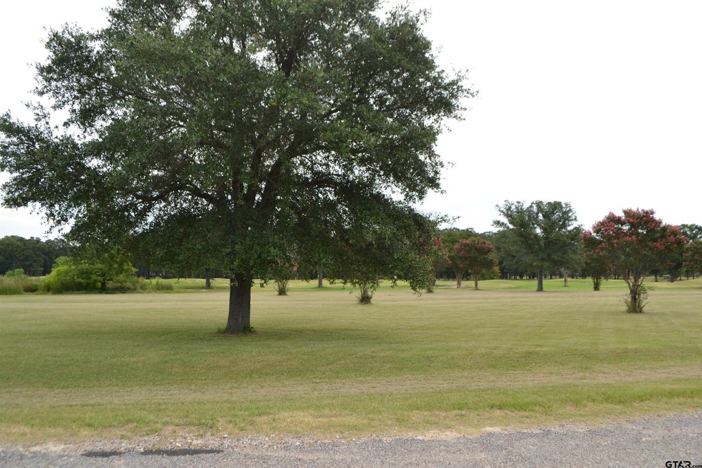 Picture 15