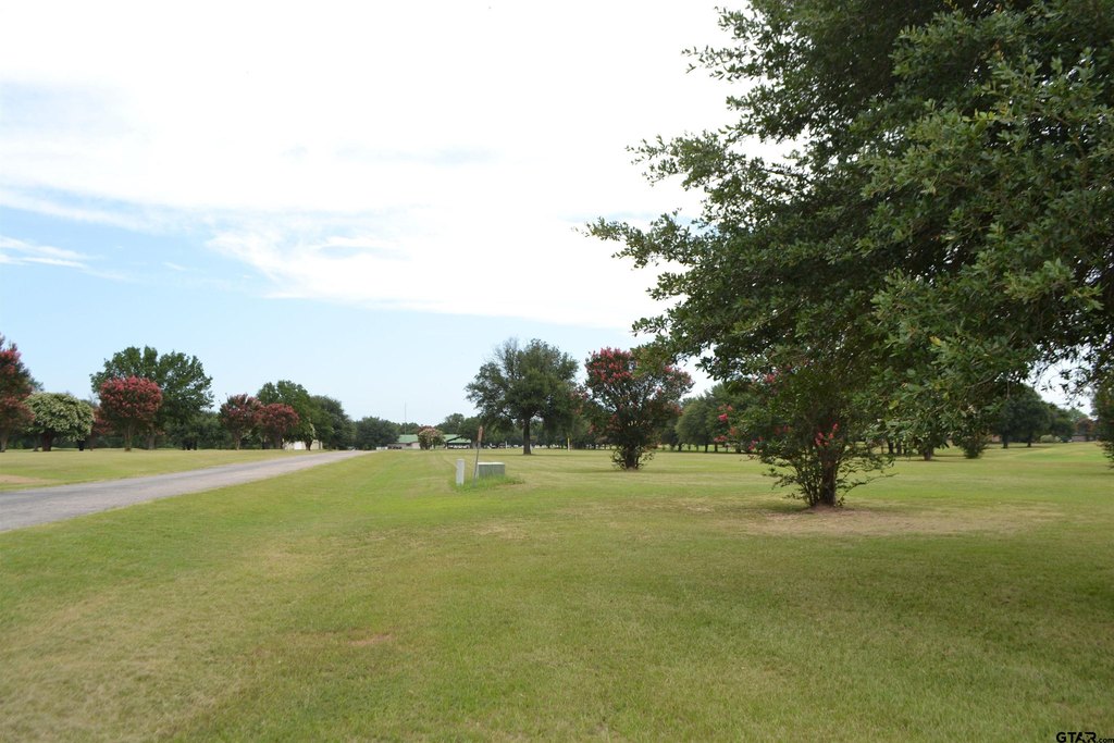 Picture 19