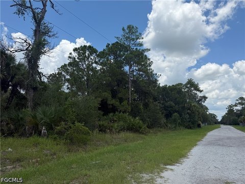 Agricultural Land Parcel