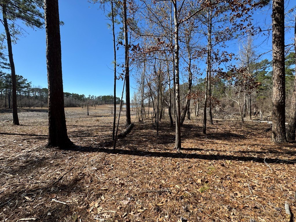 Picture 13