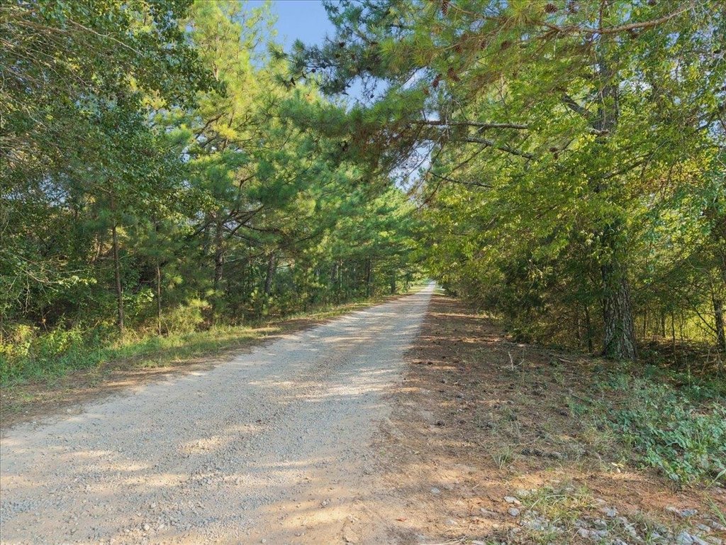 Picture 24