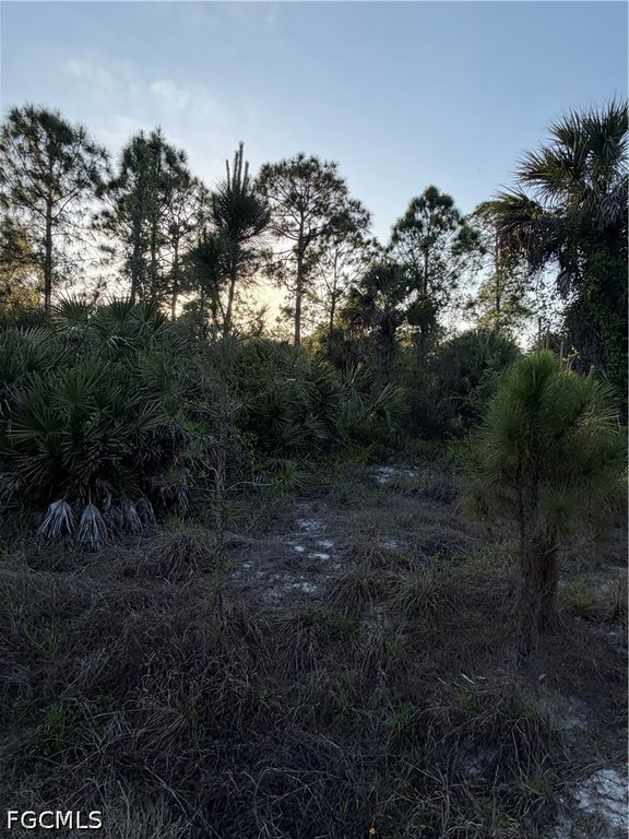 Picture 6