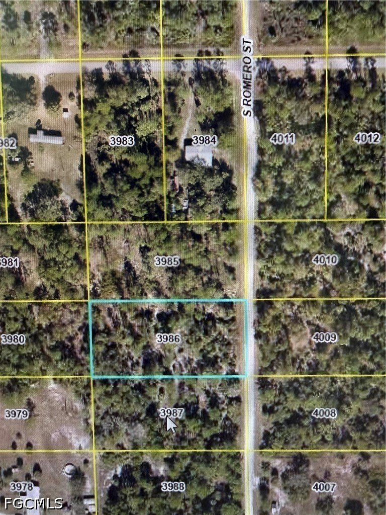 Undeveloped Land in Clewiston, FL