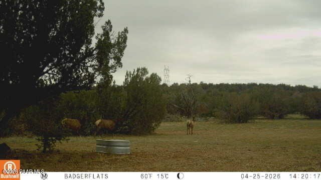 Picture 17
