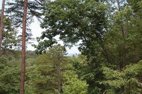 Land, Ellijay, GA