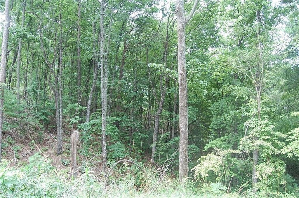 Picture 2