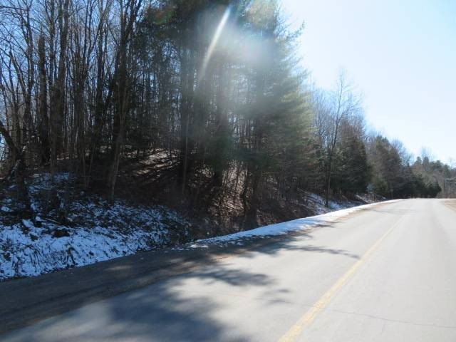 Picture 8