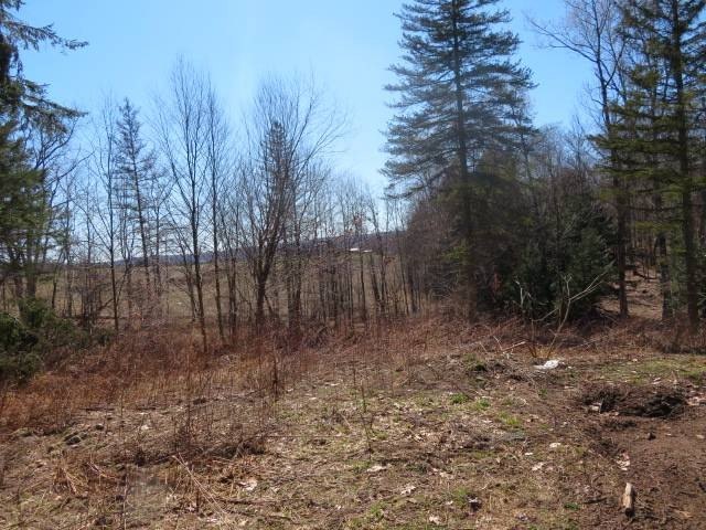 Picture 10