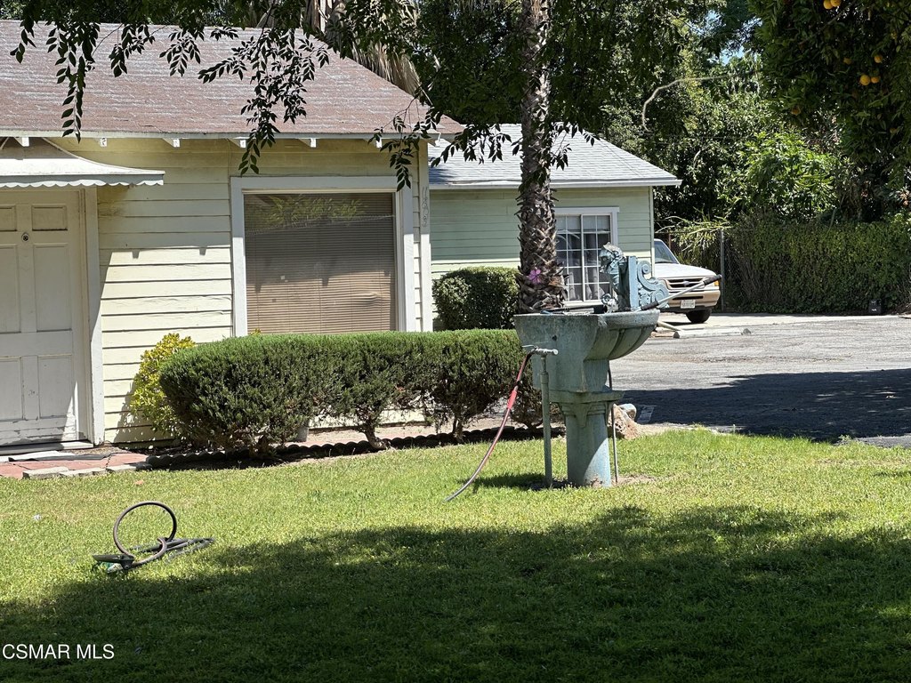 Picture 6