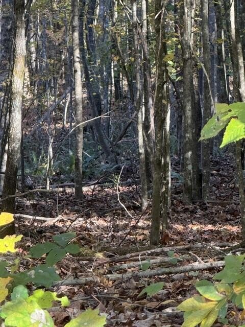 Picture 4
