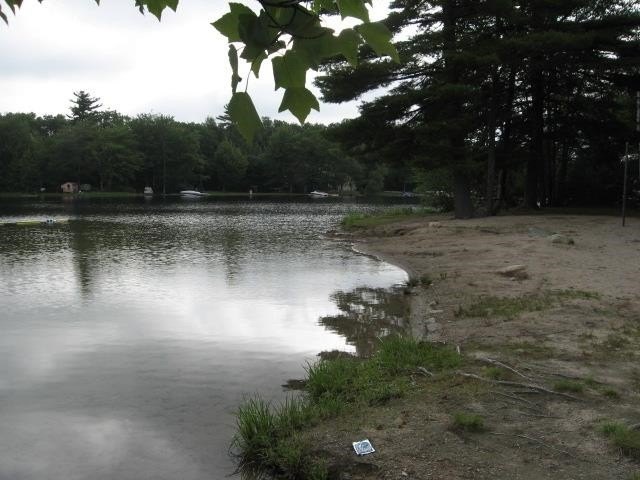 Picture 29