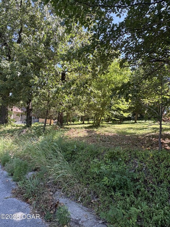 Picture 5