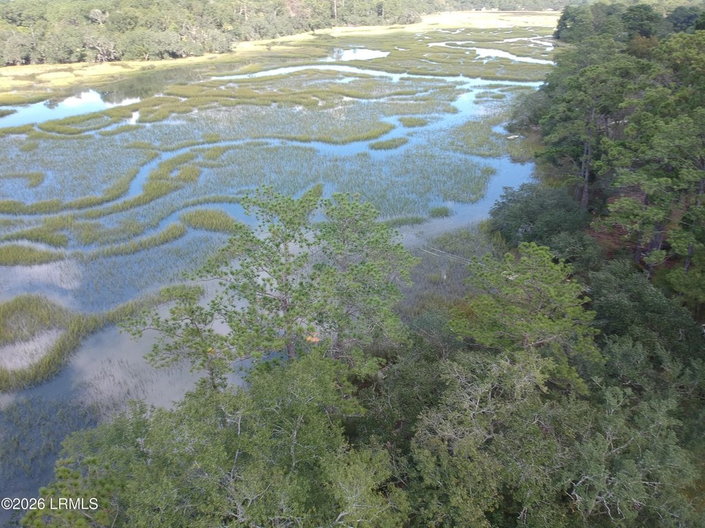 Picture 17