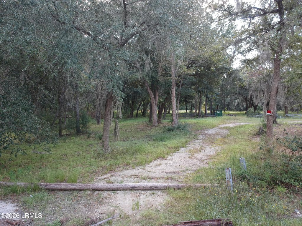 Picture 19