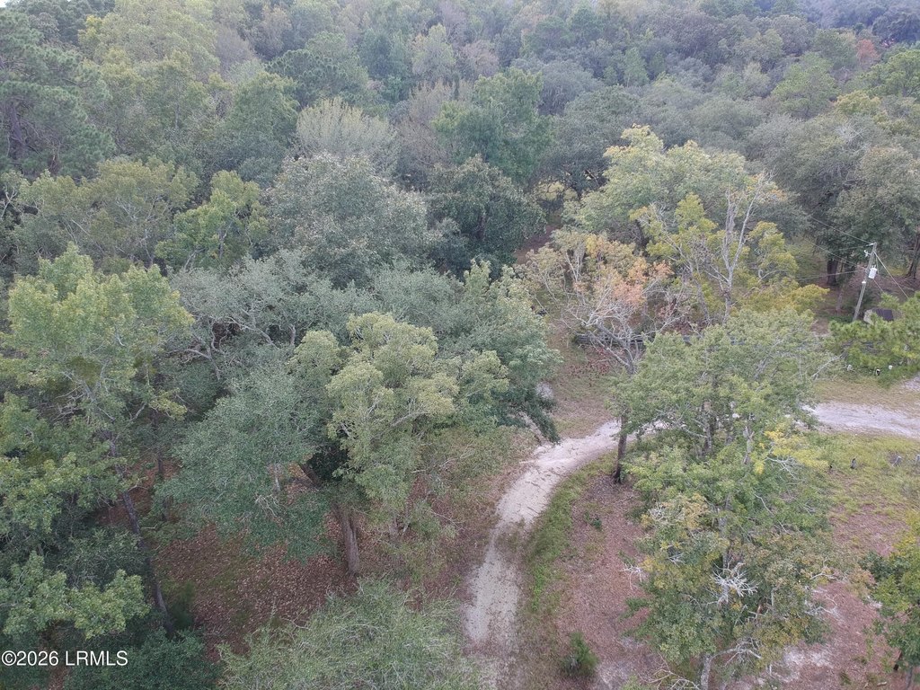 Picture 14