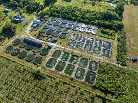 Tilapia Fish Farm with Warehouse