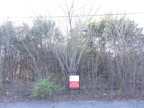 Residential Lot in Greenville, TX