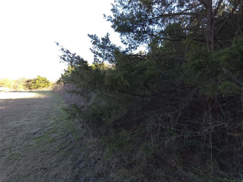 Picture 4