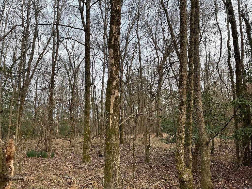 Picture 4