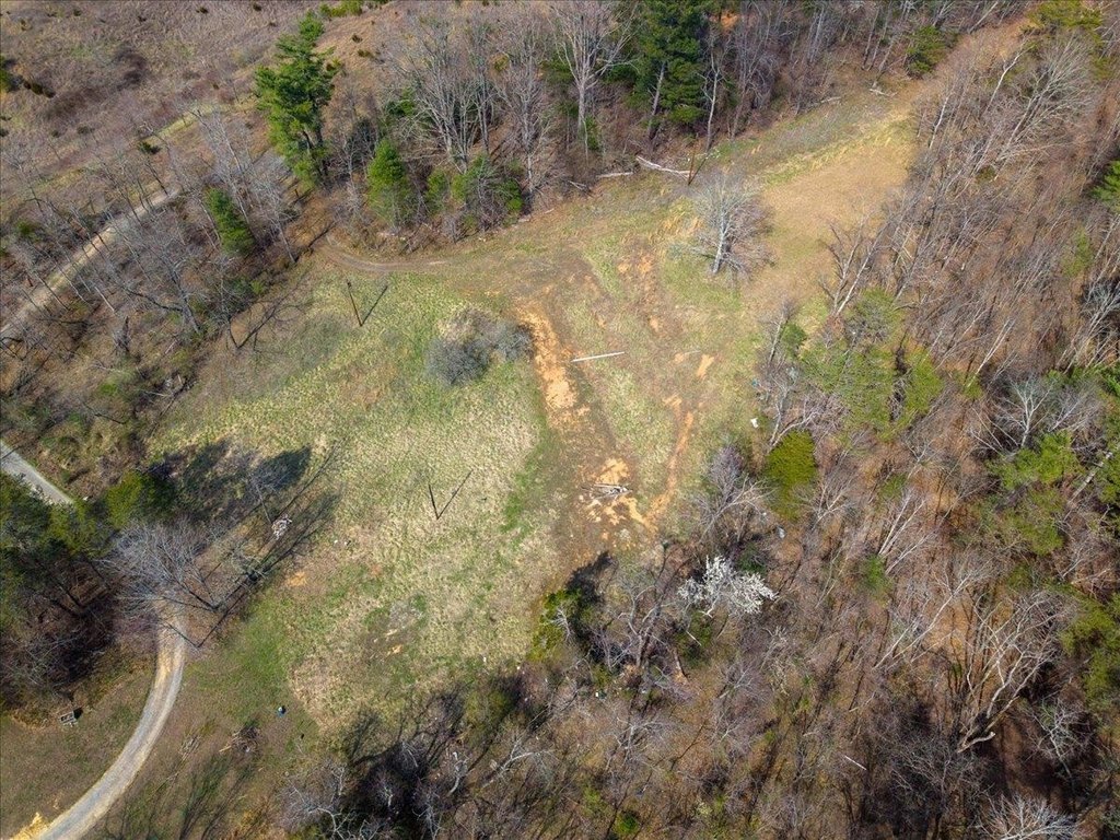 Picture 4