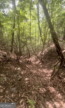 Land in Big Canoe Lifestyle
