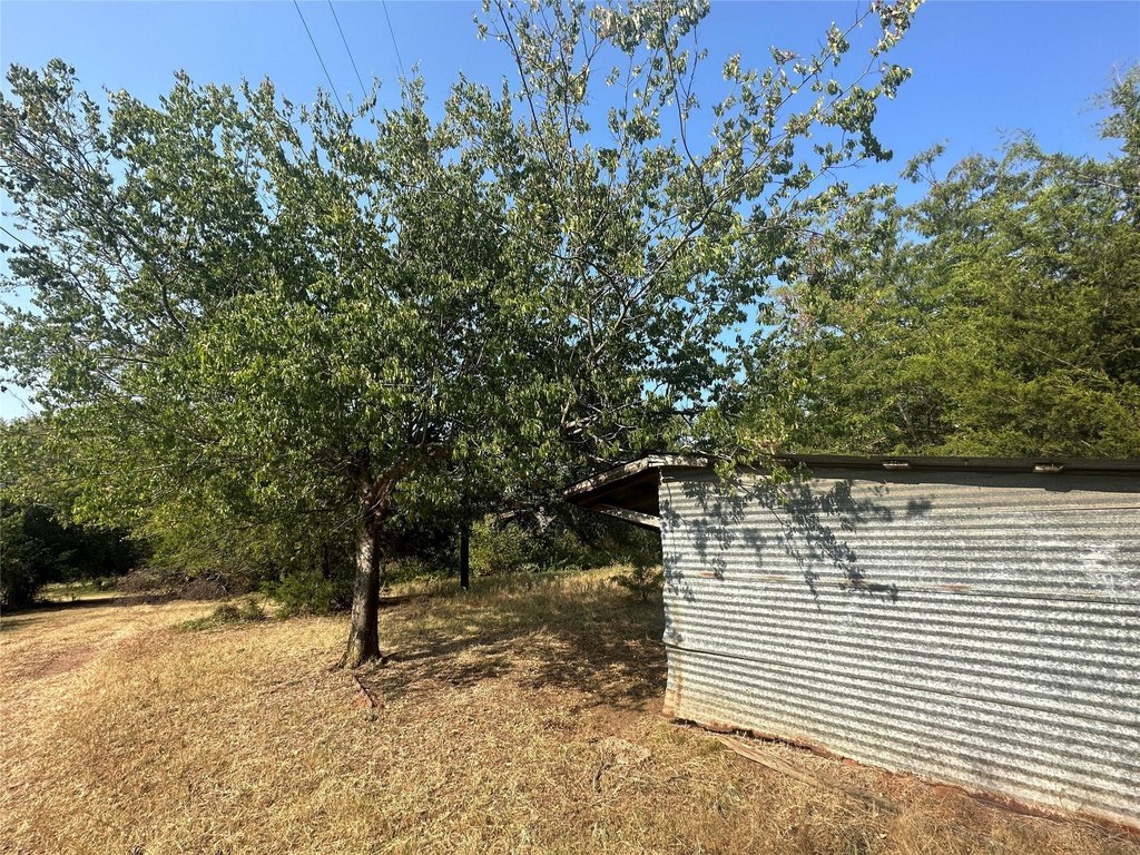 Picture 21