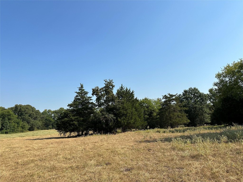 Picture 22
