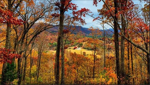 LAND - Hayesville, NC
