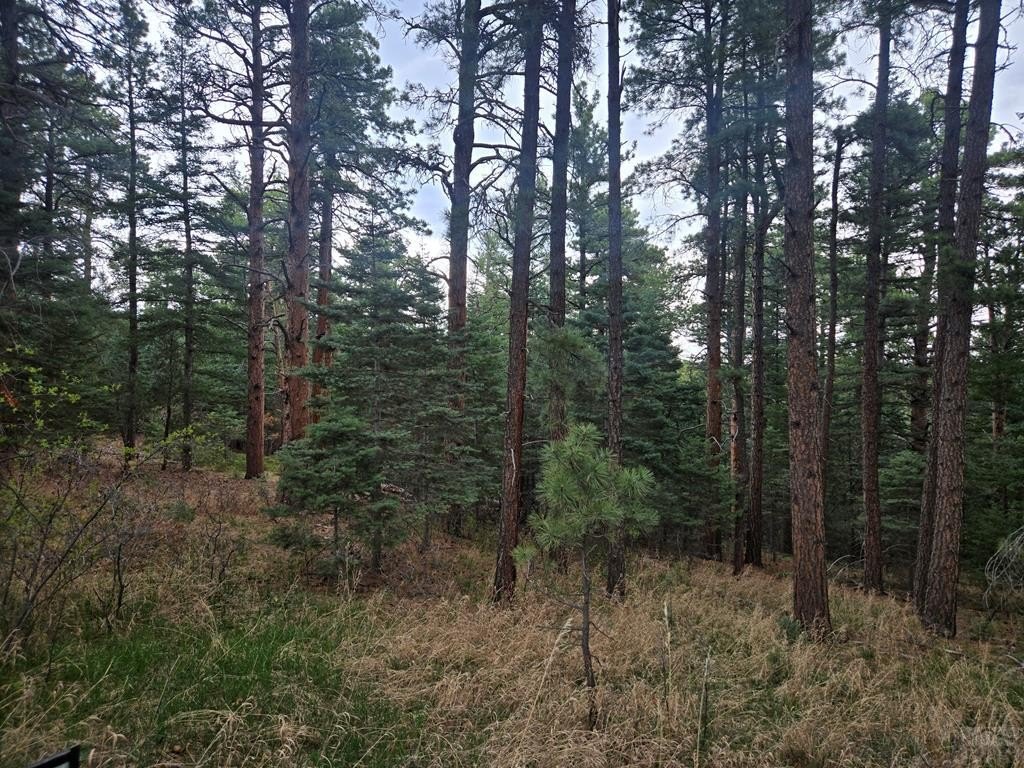 Picture 9