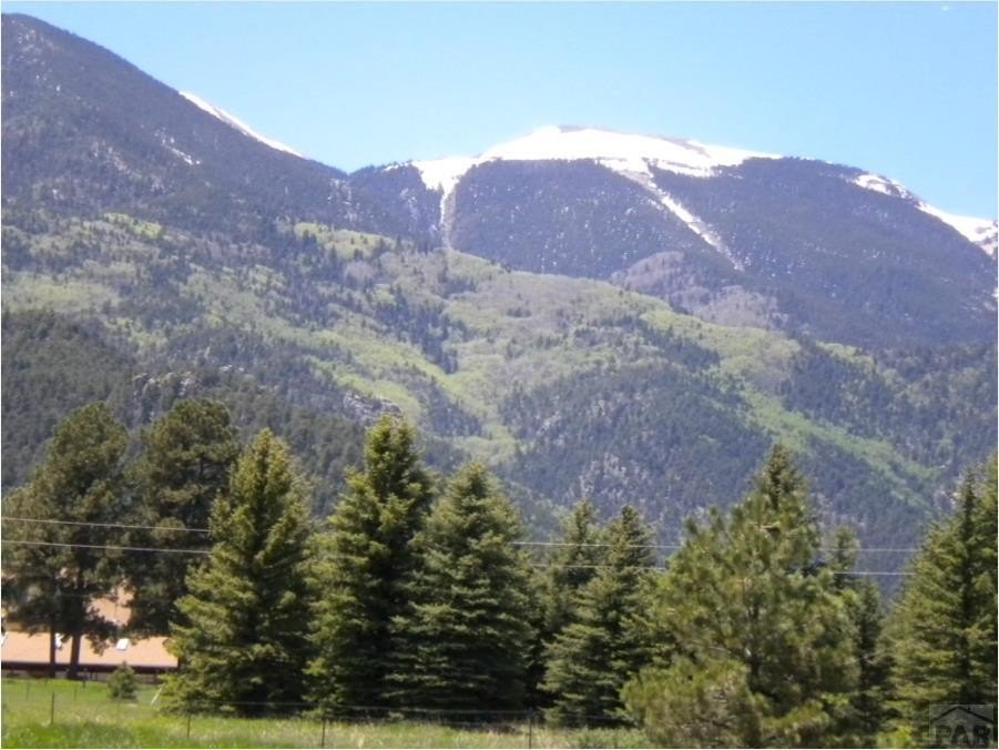Picture 12