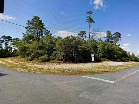 LAND - OCALA, FL