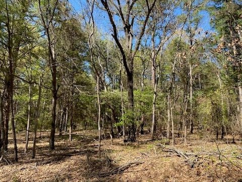 Scenic Wooded Land Near Lake