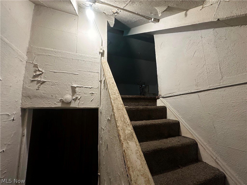 Picture 29