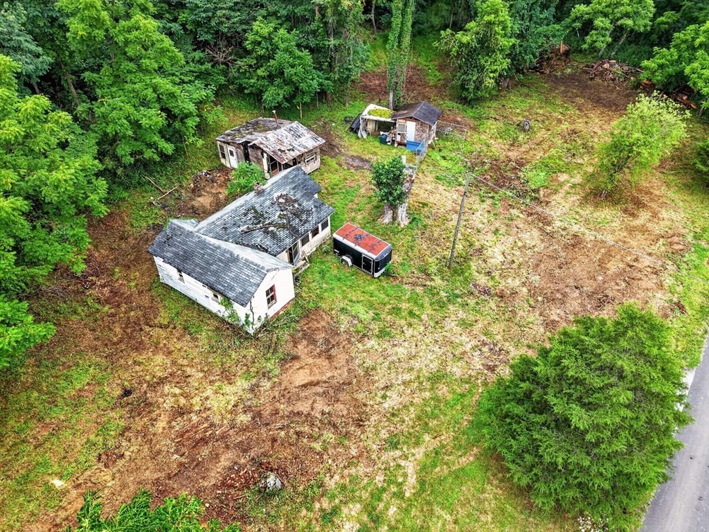 Picture 17