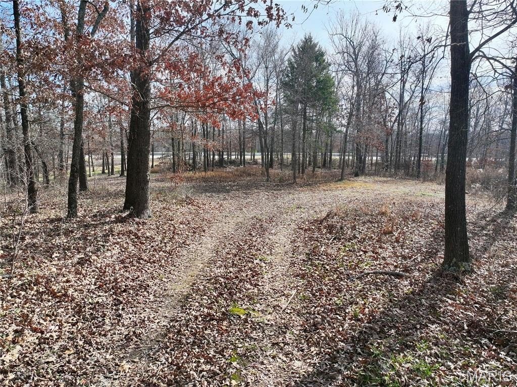 Picture 8