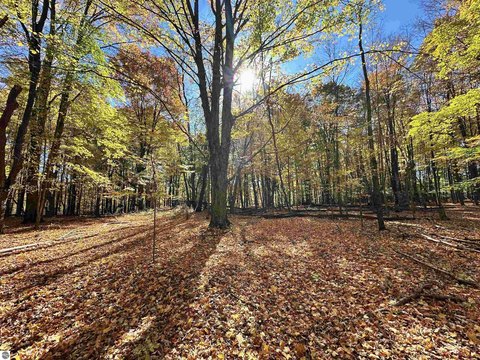 Vacant Lot/Land, Thompsonville, MI
