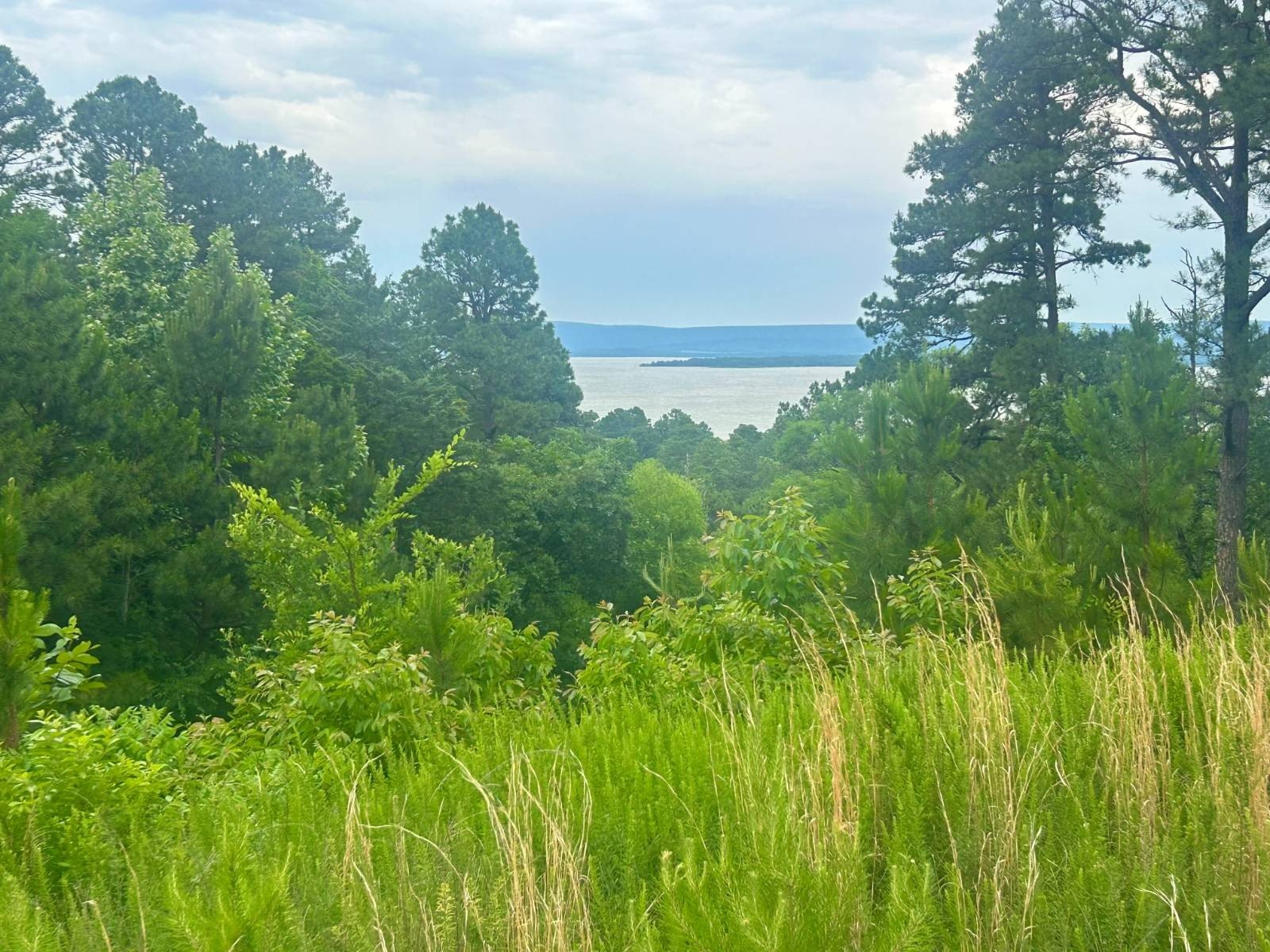 Sardis Lake Waterfront Land